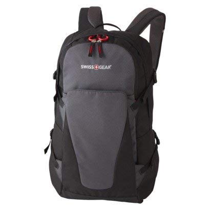 Swiss Gear Ridgeliner backpack